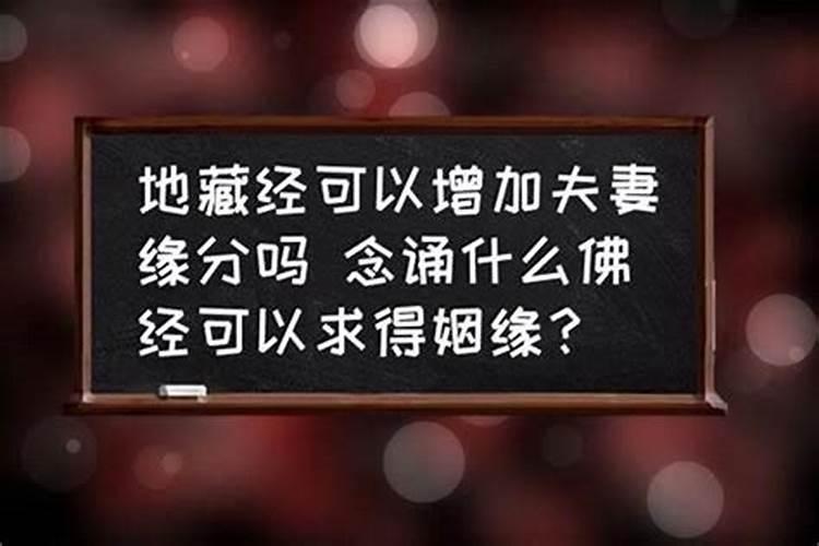 2025年范太岁属相有几个