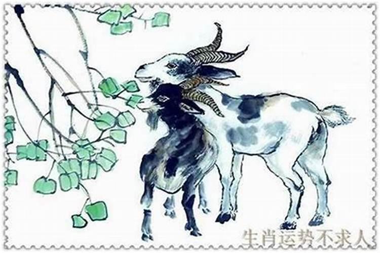 正月初一有什么风俗或活动