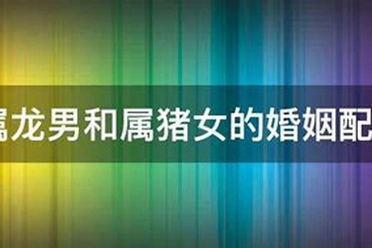 1953年属蛇的人2024年运势运程详解