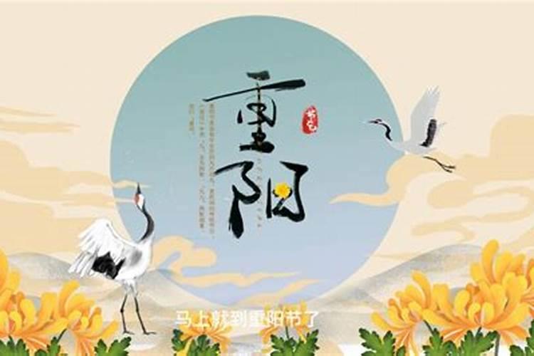 清明墓地栽树有什么说法