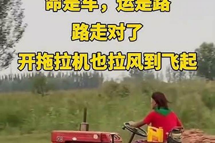 今年清明扫墓有何规定