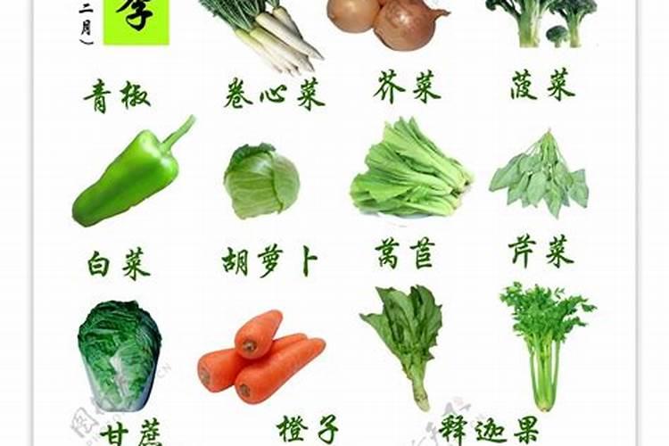 立冬的风俗吃什么