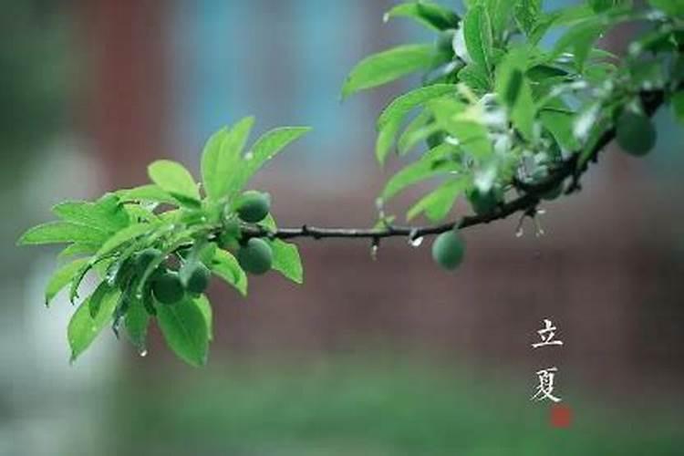 打胎后怎么给孩子超度