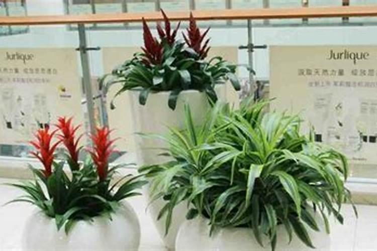 2018年中秋节具体时间是哪一天？中秋最佳古诗词鉴赏