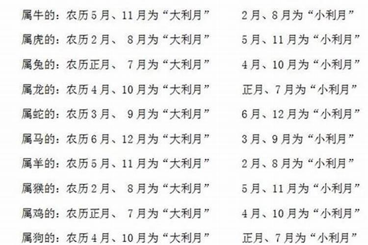 95年腊月的猪命运怎么样 运程详解