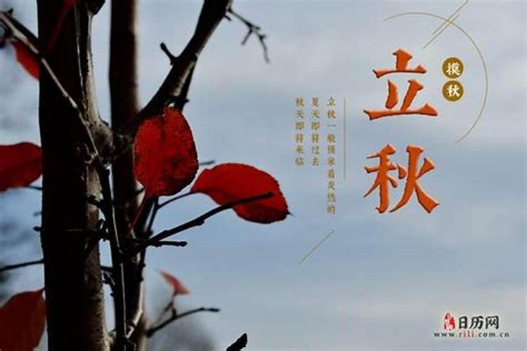 早立秋和晚立秋怎么分 早立秋和晚立秋的区别是什么