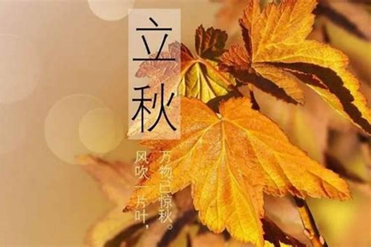 早立秋和晚立秋怎么分