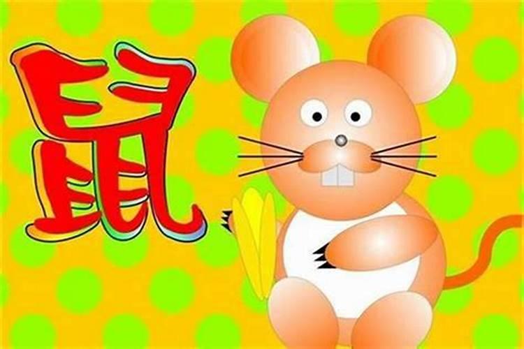 属老鼠的人哪几个月份出生最好 属鼠几月出生最好命运