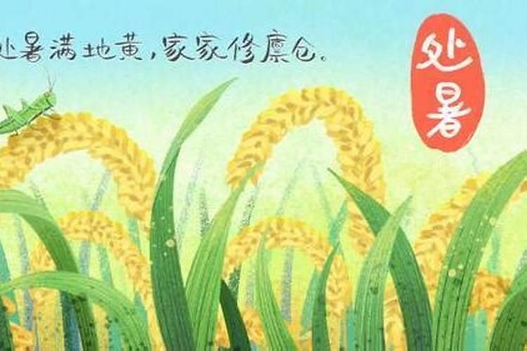 童子命是真是假