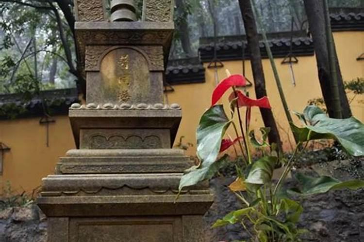 北京春节庙会哪个好玩 2024北京春节庙会时间+地点+交通