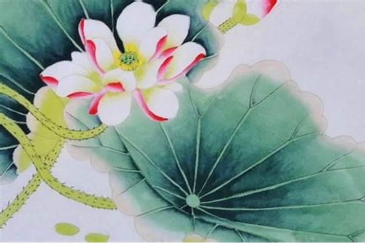 求佛教的各种佛生之类的祭祀节日!