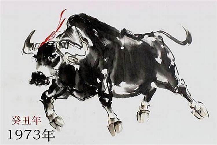 为什么本命年会有流年不利这一说呢？今年本命年,昨天一下摔两次跟头...