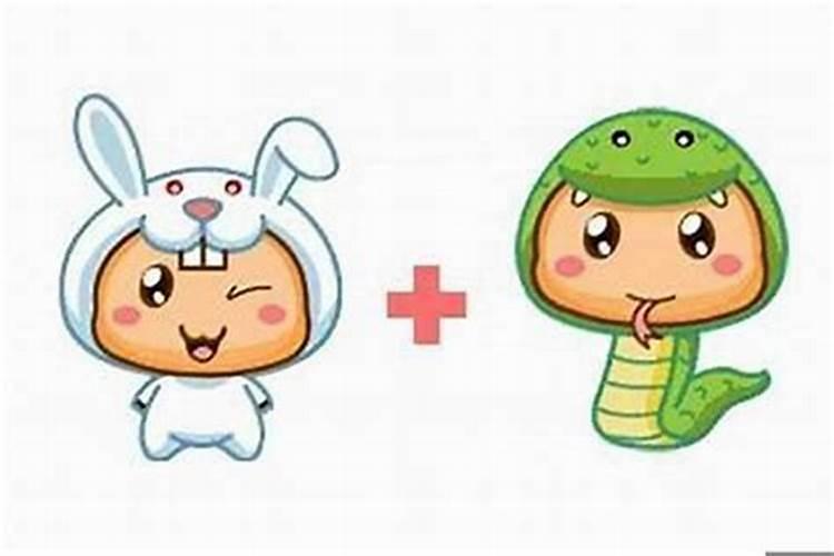 姻缘分析:属兔和属蛇的八字相合吗 结婚怎么样
