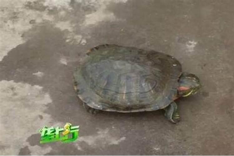 冷静期一方反悔不去了怎么办