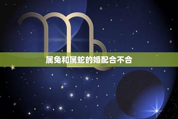 1979羊和1975兔属相合不合可以婚配吗？