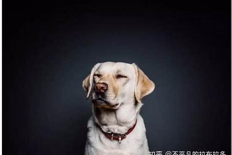 属蛇人2025年每月运势运程每月