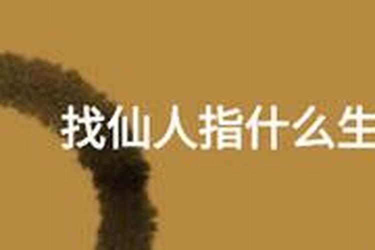 仙人下凡的属相是什么