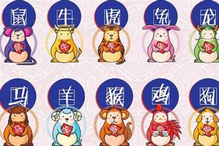 仙人代表什么生肖