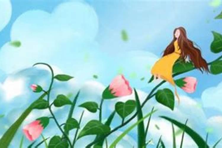 秋分的三候是什么