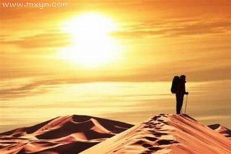 七九年女属羊的农历8月18出生的人好不好