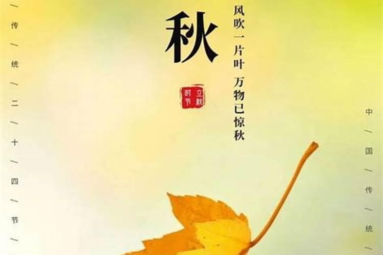 立秋是二十四节气中的第几个节气？