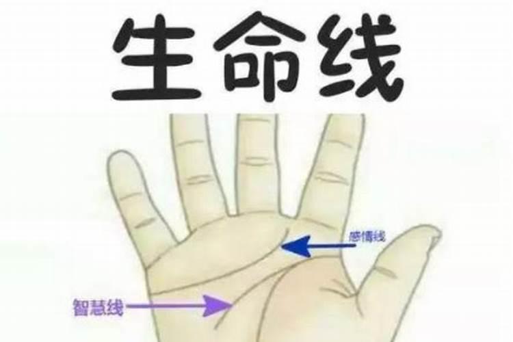 结婚日子看生辰八字,结婚择日是女方的生辰八字还是男方的？