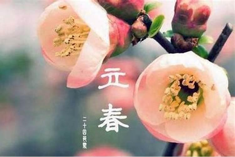 鸡猴在一起谁克谁,属鸡人一生最克谁