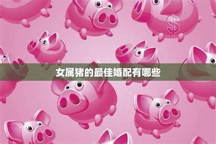 属猪女人最忌讳的婚配 属猪女适合的婚配属相