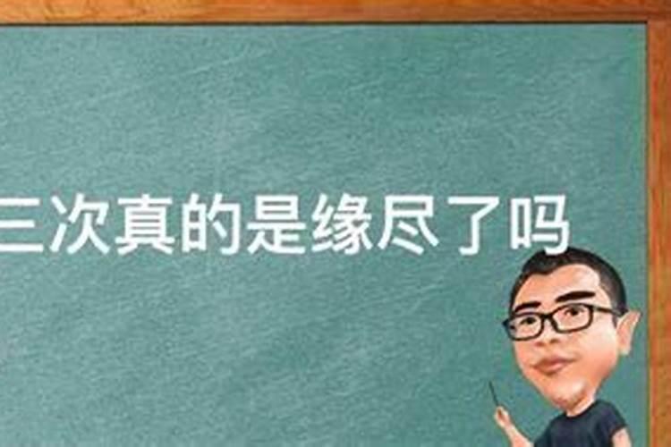 属鸡人最旺财的属什么