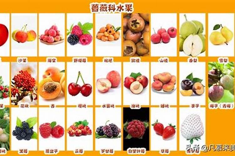 2025年犯太岁的生肖马怎么化解 2025年犯太岁的生肖马怎么躲星