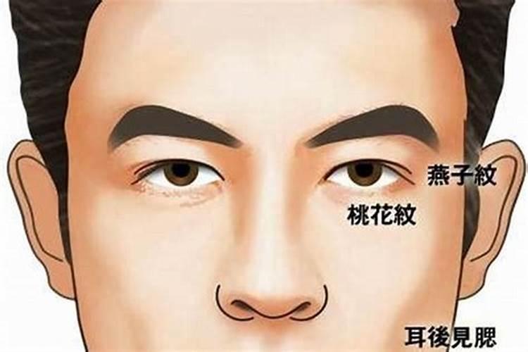 4两9钱的女命运解说最新