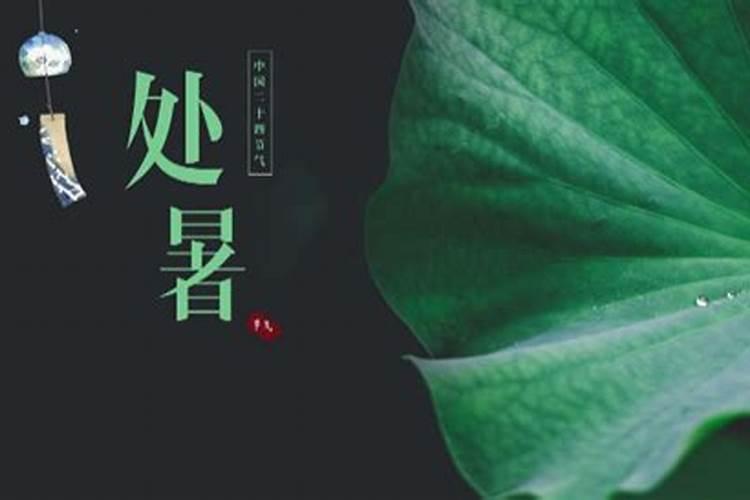 69年农历二月二十九日酉时出生的财运怎么样