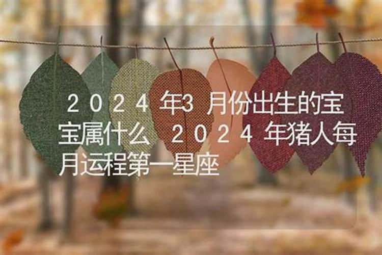 蝴蝶进屋最忌讳三个原因