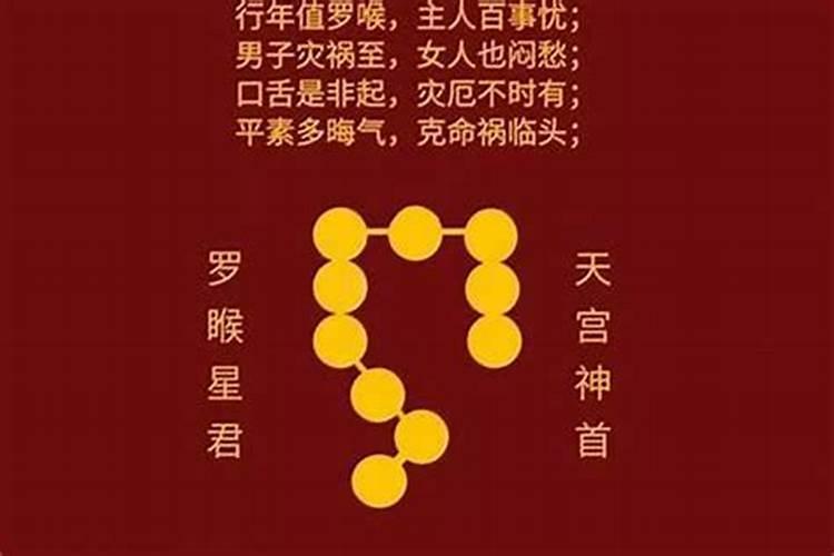 梦见狗全身血