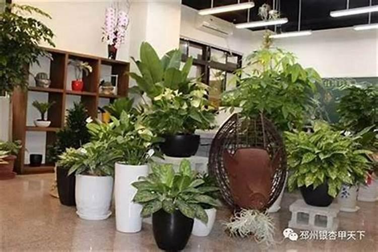 濮阳挥公陵舜帝宫景区位于哪里