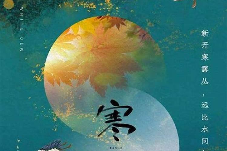 属马人2025年全年运势运程