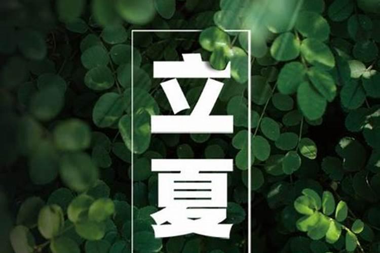 属蛇人命中注定的情人