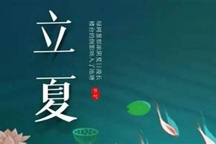 属鸡人2025年全年运势运程