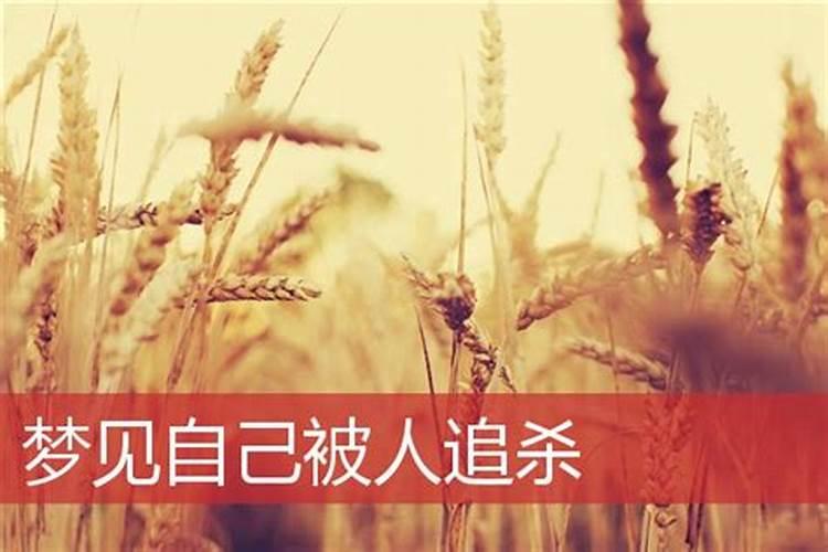 什么叫:五黄临太岁