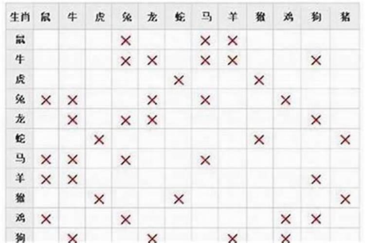 属马人的最佳婚配属相