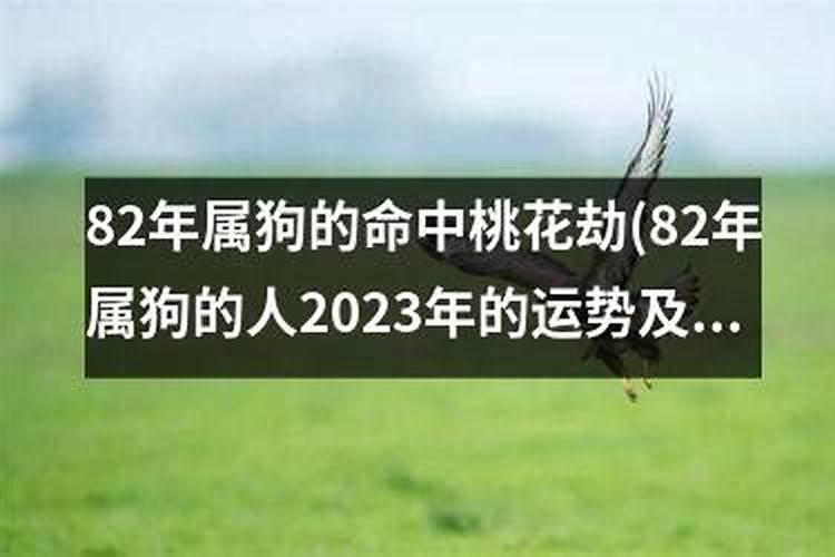 雍和宫里能请太岁吗？