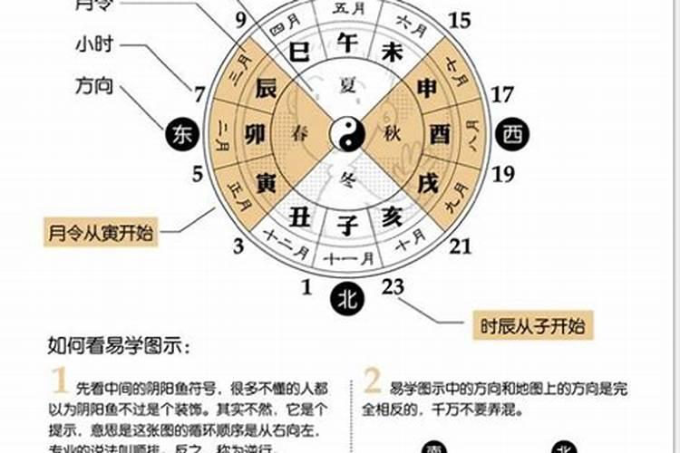 八字合婚中的月令合指的是什么？
