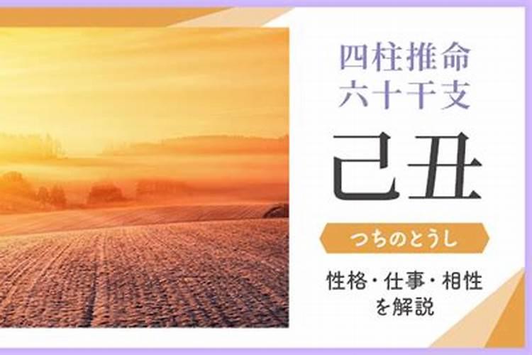 己丑日是什么意思