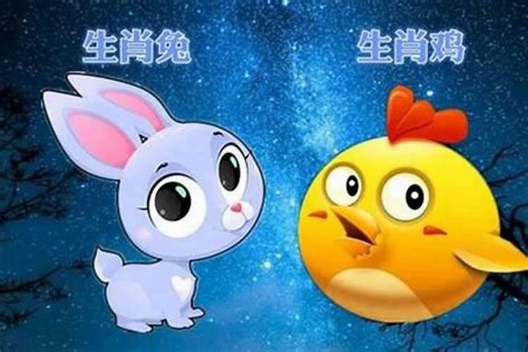 请问属鸡和属兔八字合不合