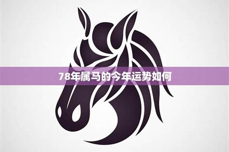 78年属马人2024年运势及运程每月运程