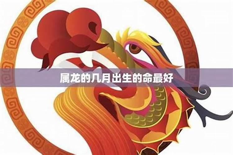 2025最旺的生肖 属兔的人 运势
