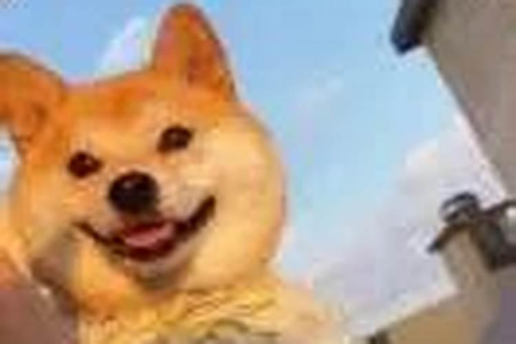 梦到姐姐生孩子是什么意思