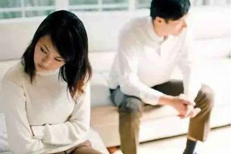立春了如何选择饵料钓鲤鱼