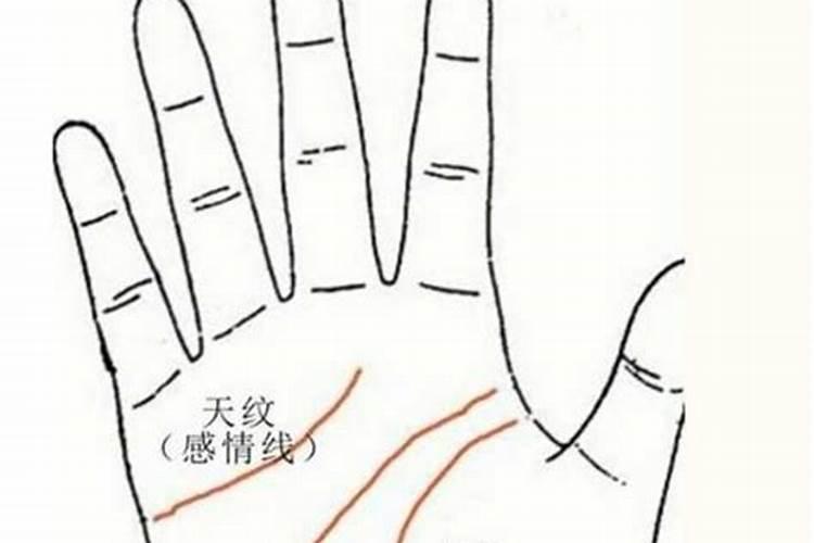 手纹生命线是从上往下看,还是从下往上看