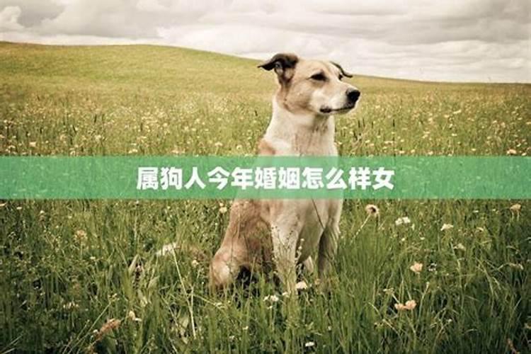 新疆中秋节怎么过 新疆中秋吃什么